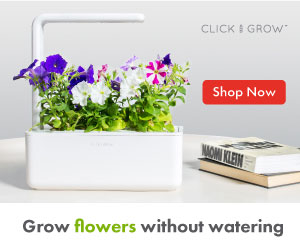 Click & Grow – Grow Flowers at Home Review.