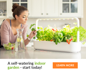 Click & Grow Self-Watering Indoor Garden.