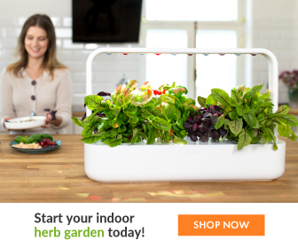 Click and grow infos product